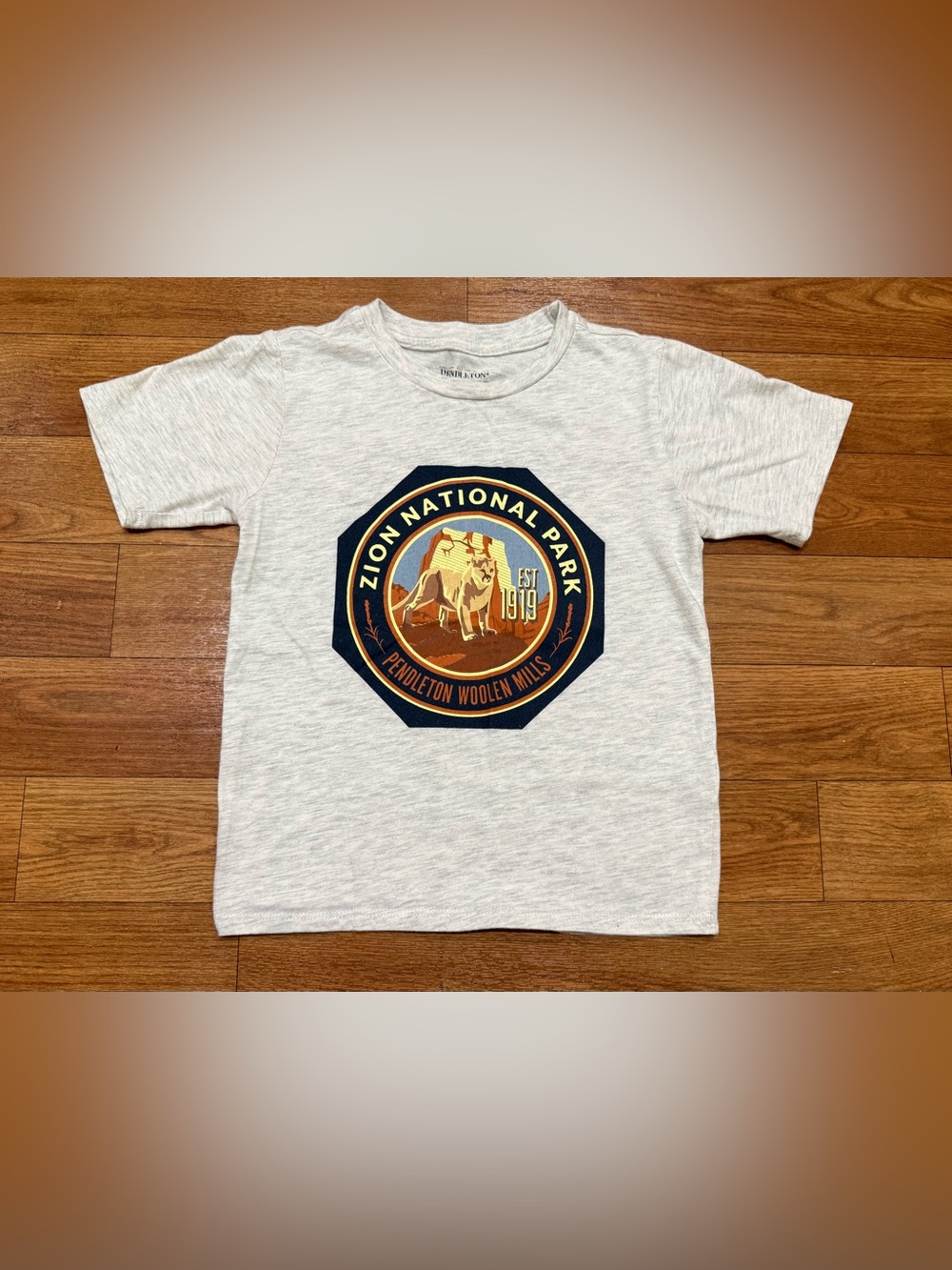 Pendleton Boys Zion National Park Graphic T-Shirt Size 5/6 Gray